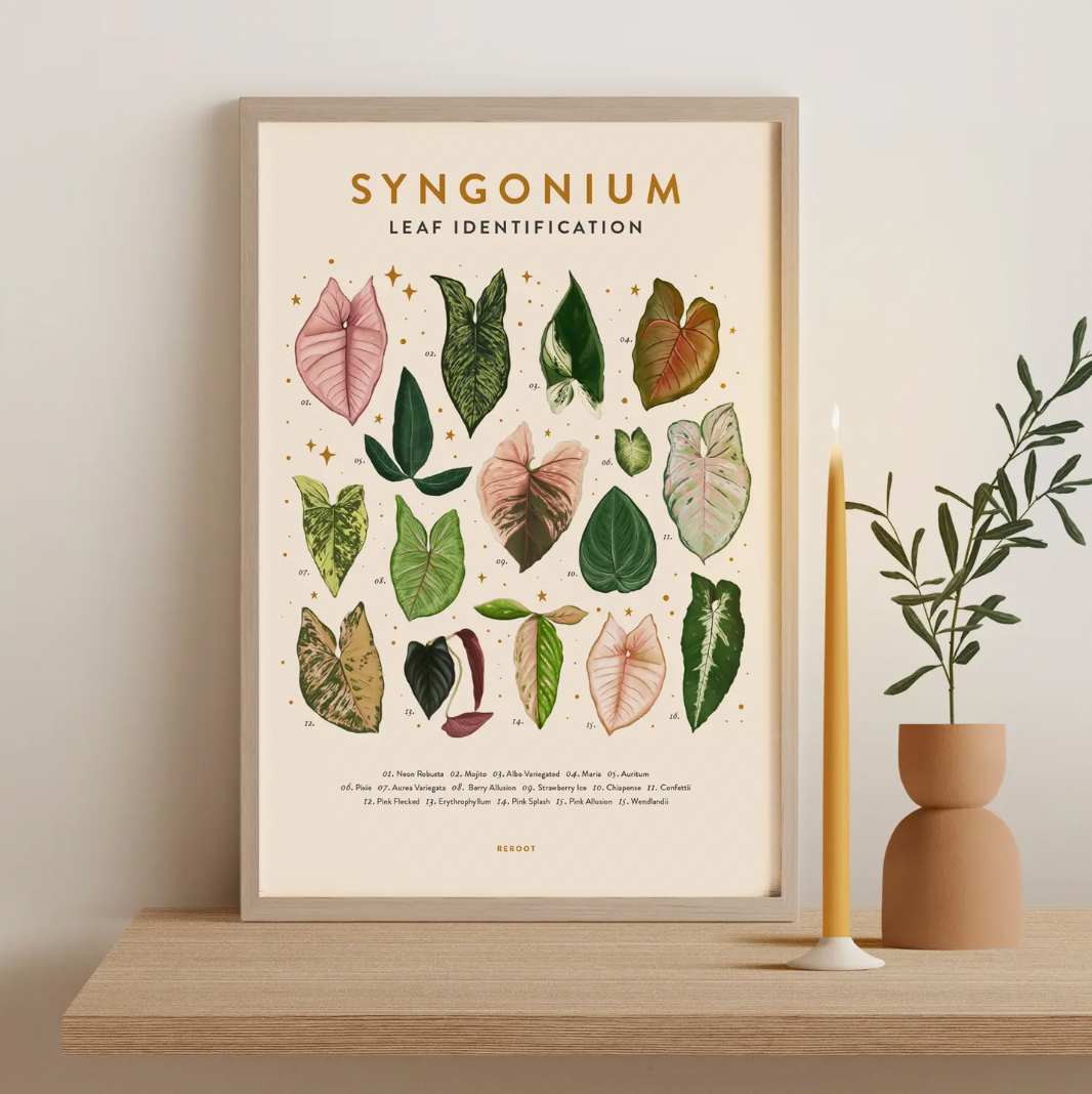 Leaf Identification Posters