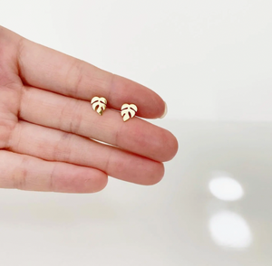 Earrings by Plant Dosage