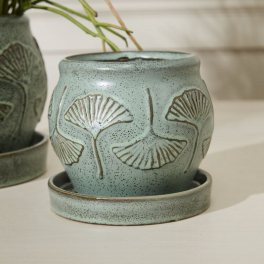 Biloba Pot with Saucer
