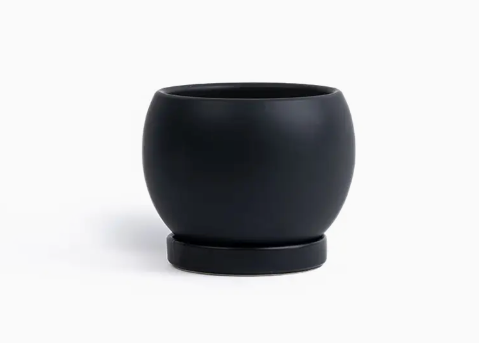 Bolle Momma Pots - 6.5"