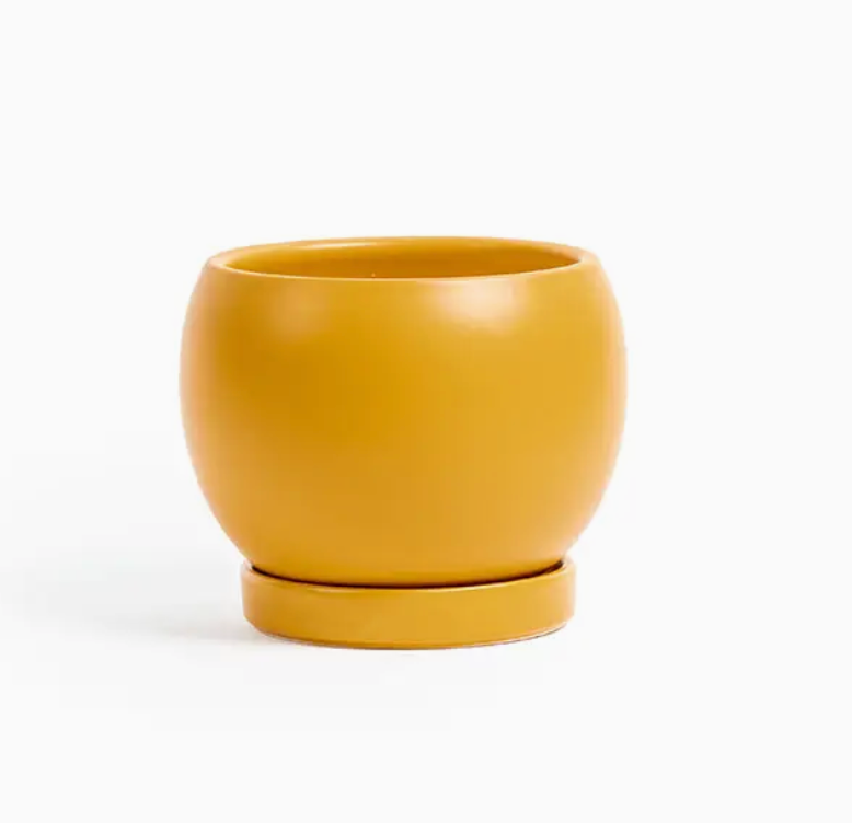 Bolle Momma Pots - 6.5"