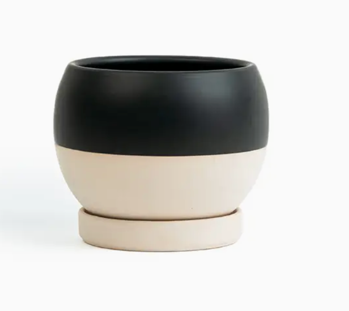 Bolle Momma Pots - 6.5"