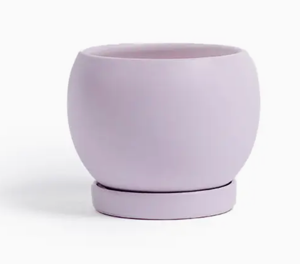 Bolle Momma Pots - 4.5"