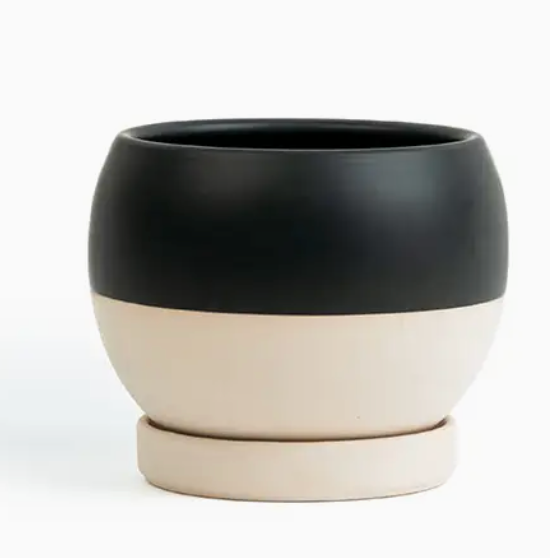 Bolle Momma Pots - 4.5"