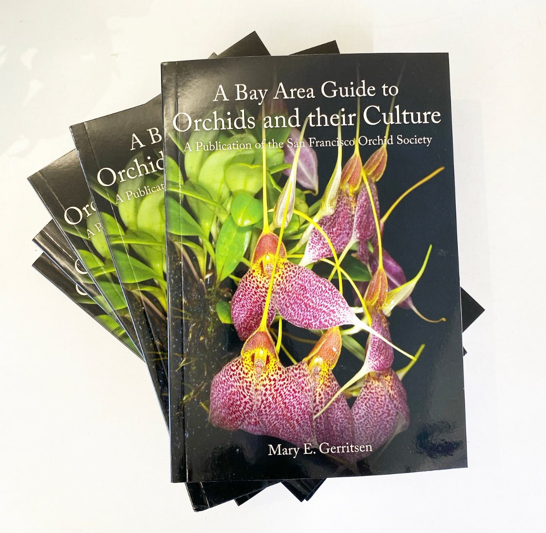 A Bay Area Guide to Orchids and their Culture - The Plant Lady SF