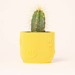 Load image into Gallery viewer, Yellow Joy Plant Pot
