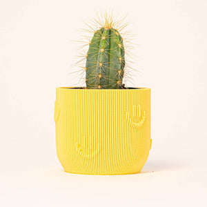 Yellow Joy Plant Pot