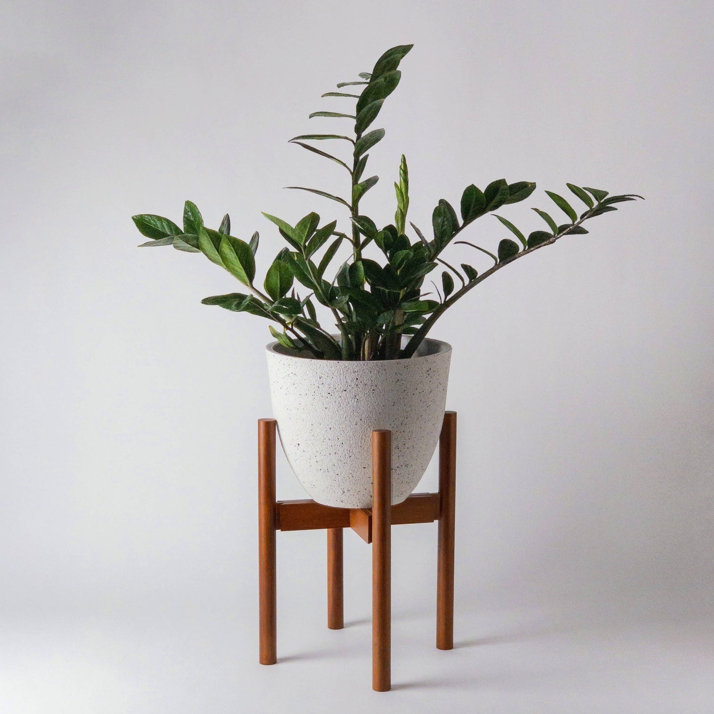 Adjustable Dark Bamboo Plant Stand - The Plant Lady SF
