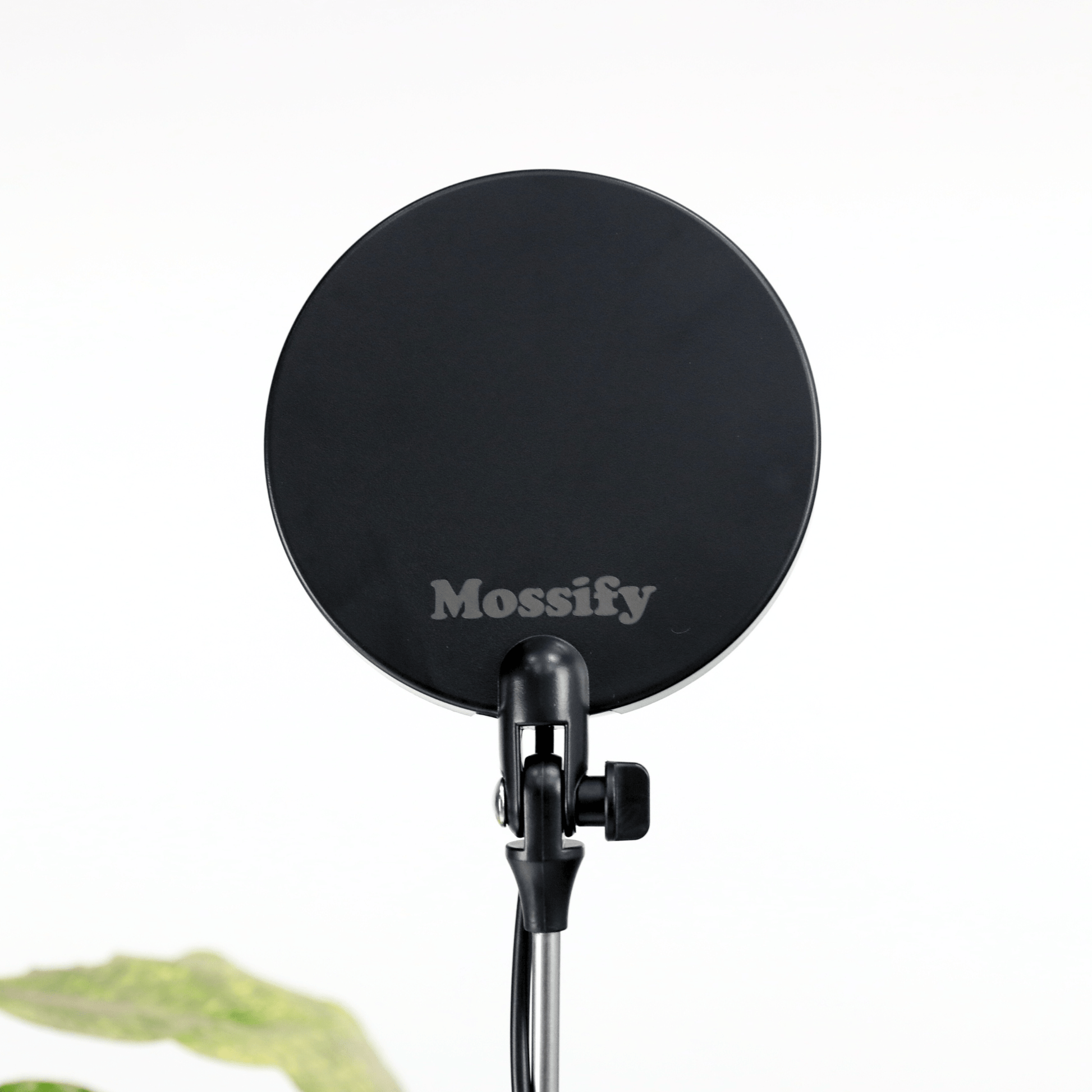 Adjustable LED Grow Light by Mossify - The Plant Lady SF