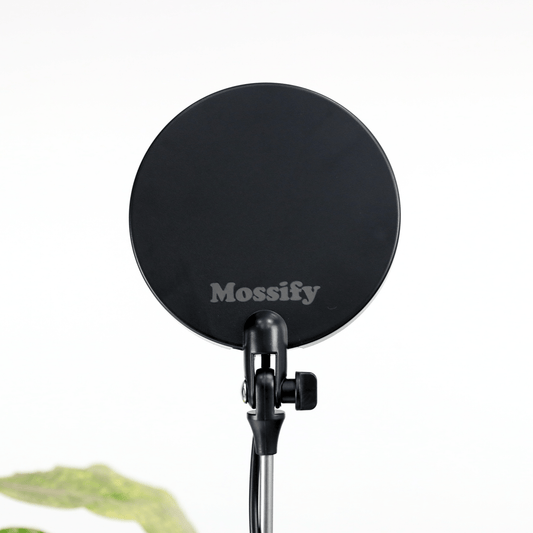 Adjustable LED Grow Light by Mossify - The Plant Lady SF