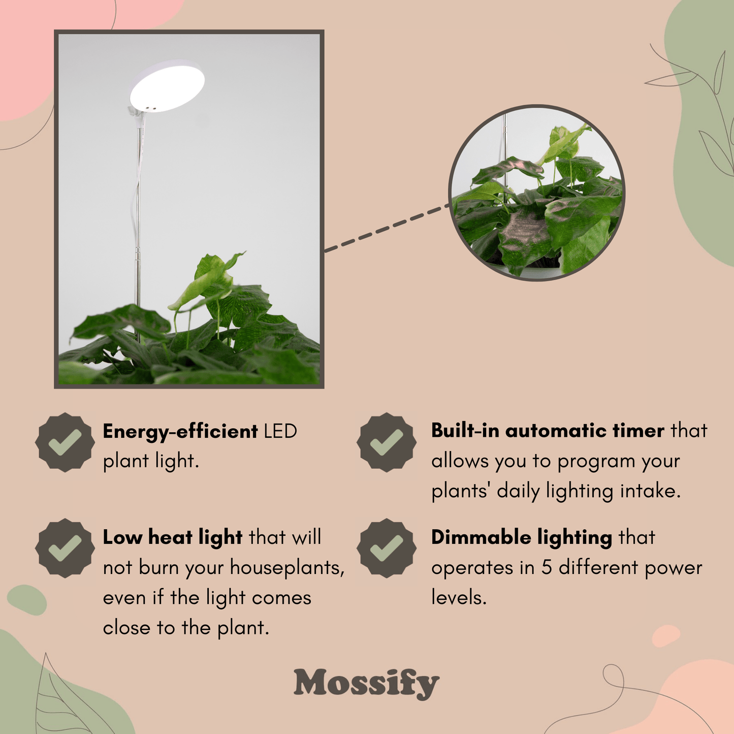 Adjustable LED Grow Light by Mossify - The Plant Lady SF