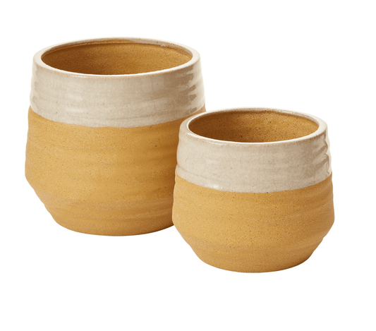 Altamira Pot - The Plant Lady SF