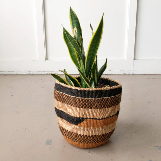 Amsha Fine Weave Basket: Medium Sized - The Plant Lady SF