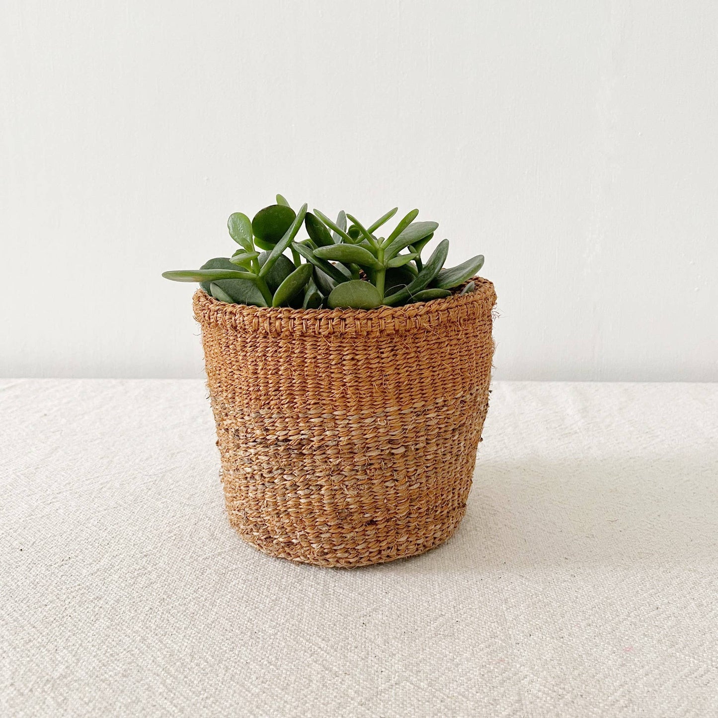 Amsha Plant Basket: Ochre Mix: - The Plant Lady SF