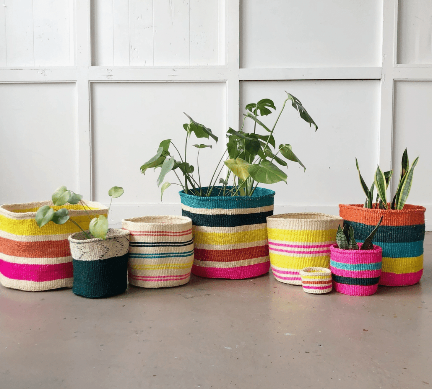 Amsha Rainbow Baskets - The Plant Lady SF