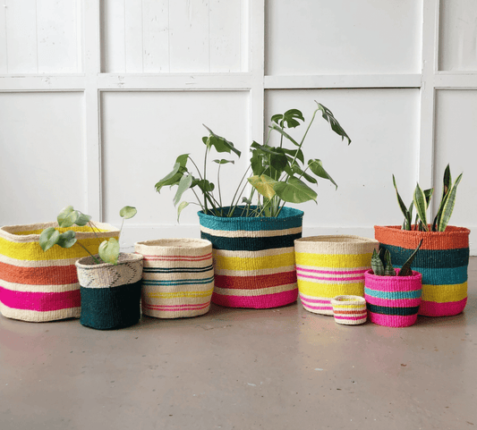 Amsha Rainbow Baskets - The Plant Lady SF