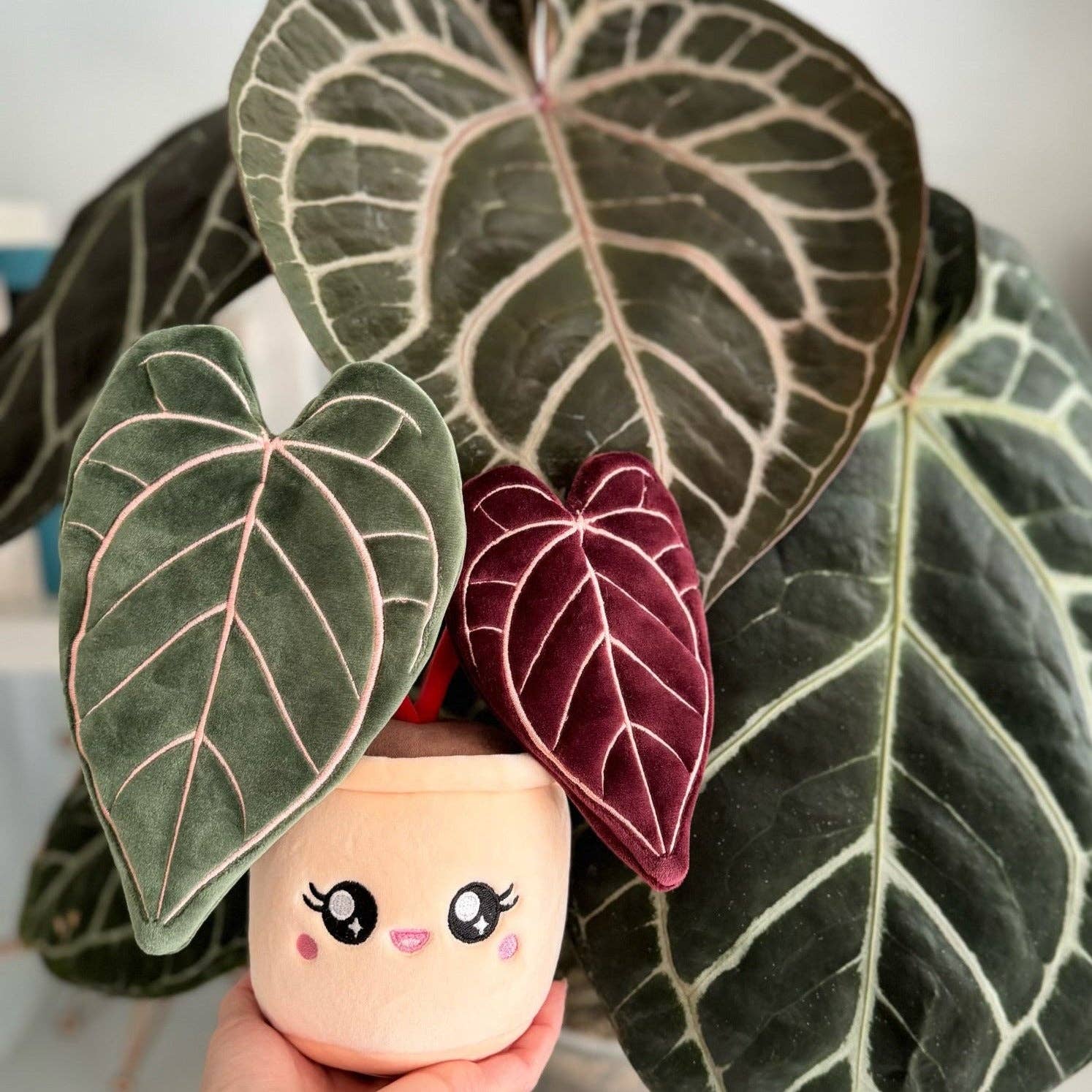 Anthurium Red Crystallinum Plushie by Blushiez – The Plant Lady SF
