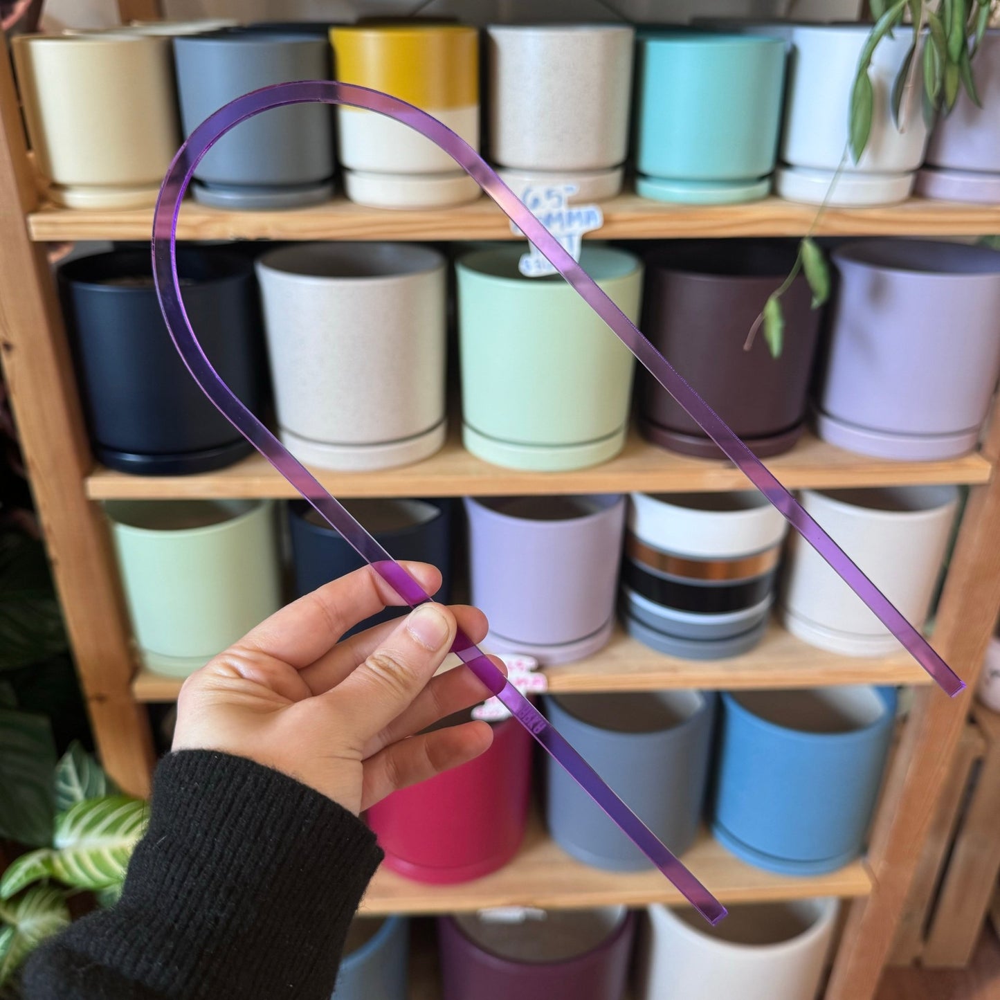 Arka™ Original Trellis - The Plant Lady SF