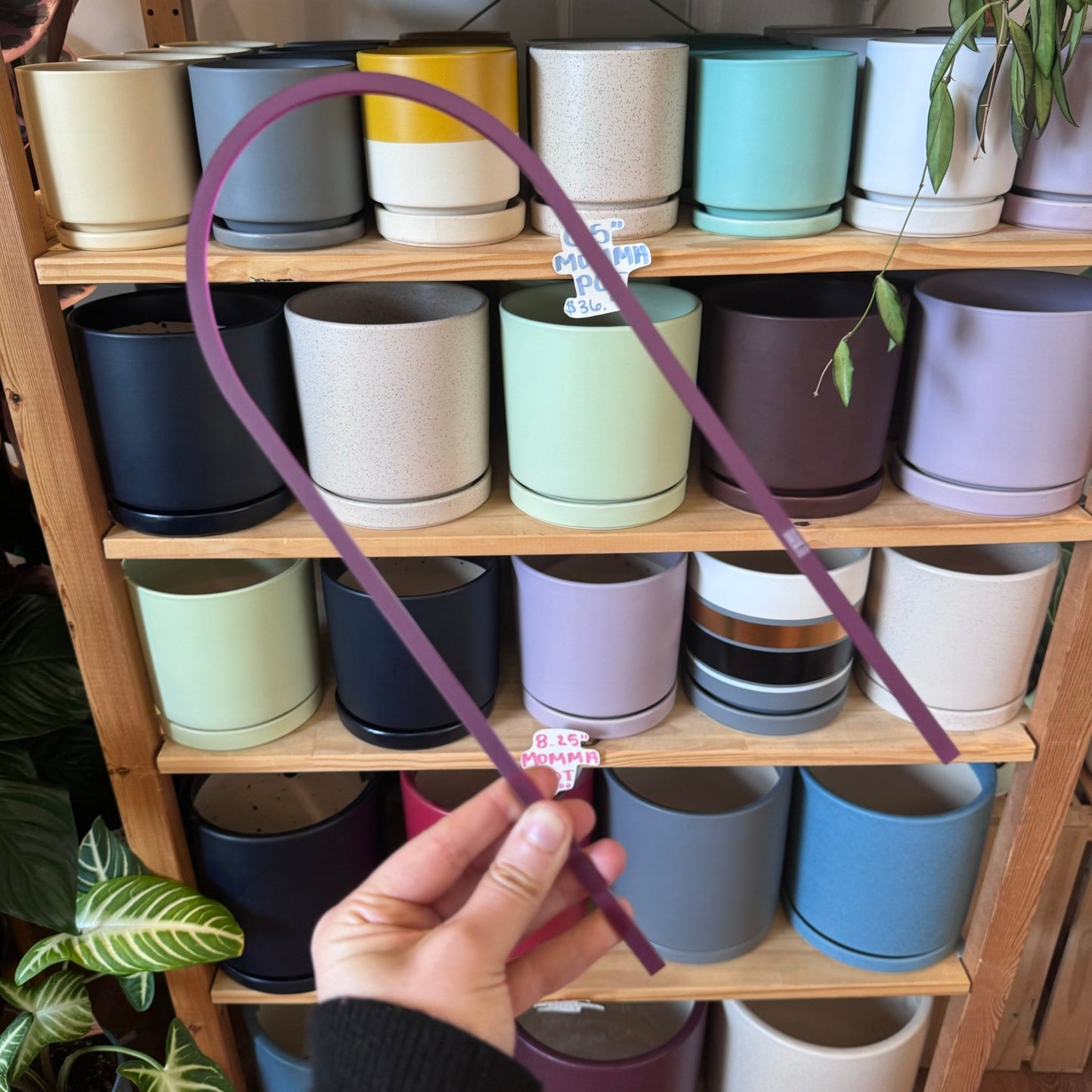 Arka™ Original Trellis - The Plant Lady SF