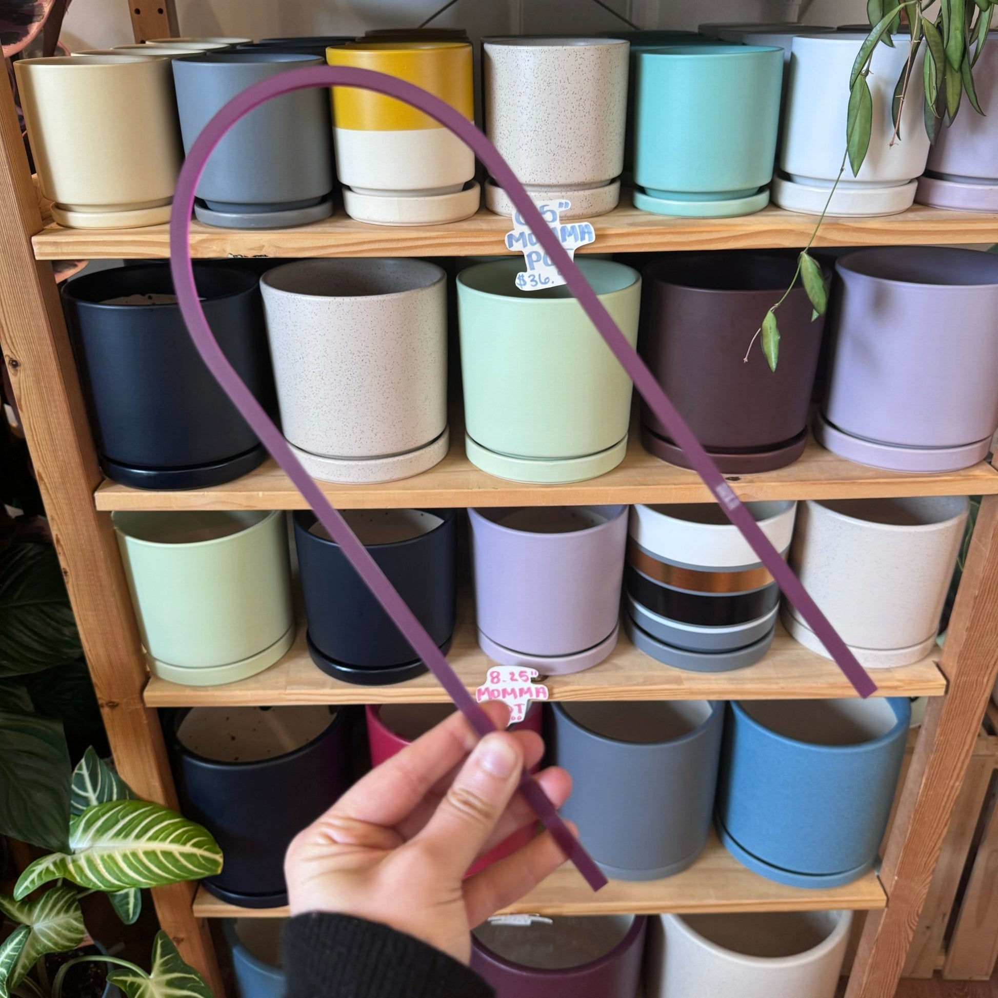 Arka™ Original Trellis - The Plant Lady SF