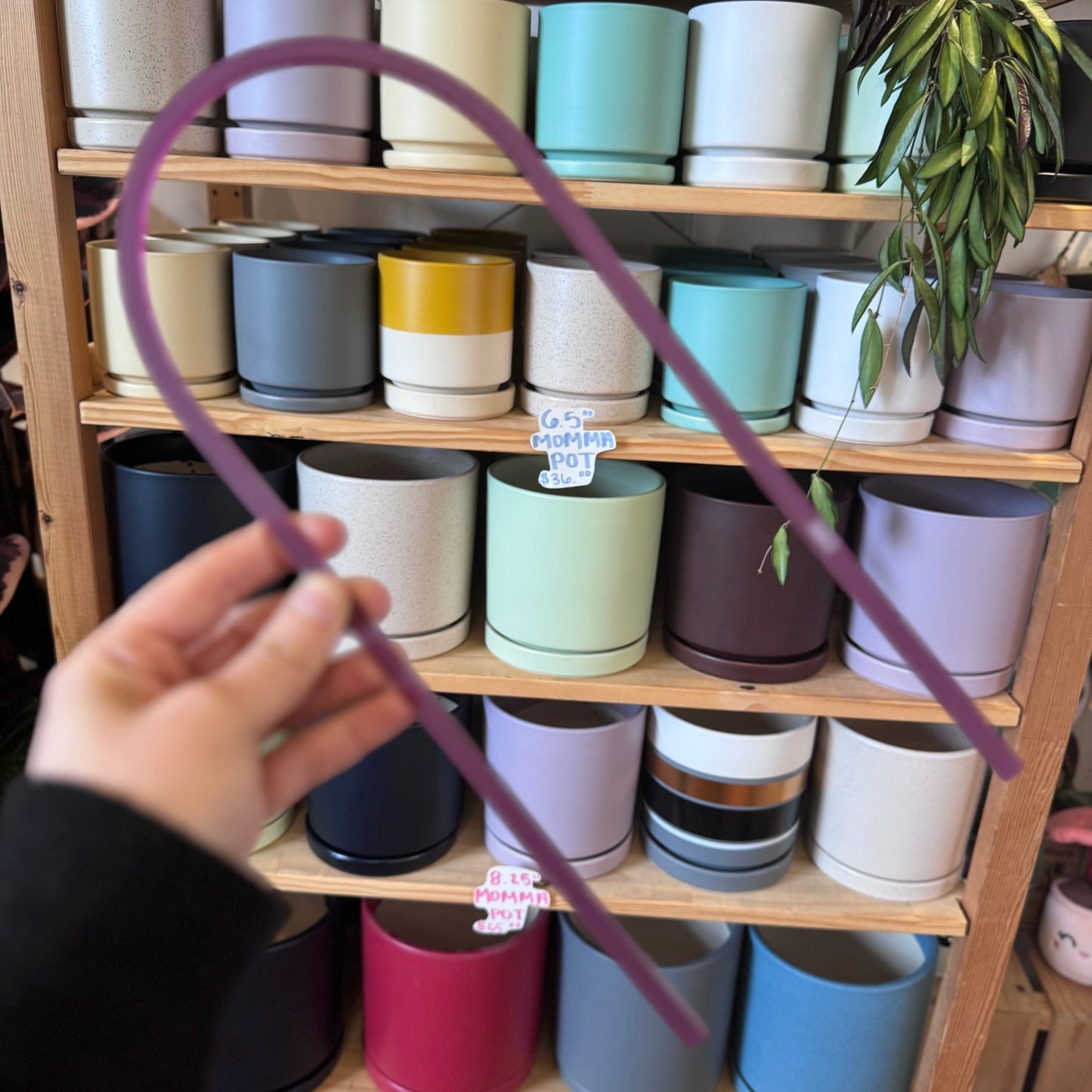 Arka™ Original Trellis - The Plant Lady SF