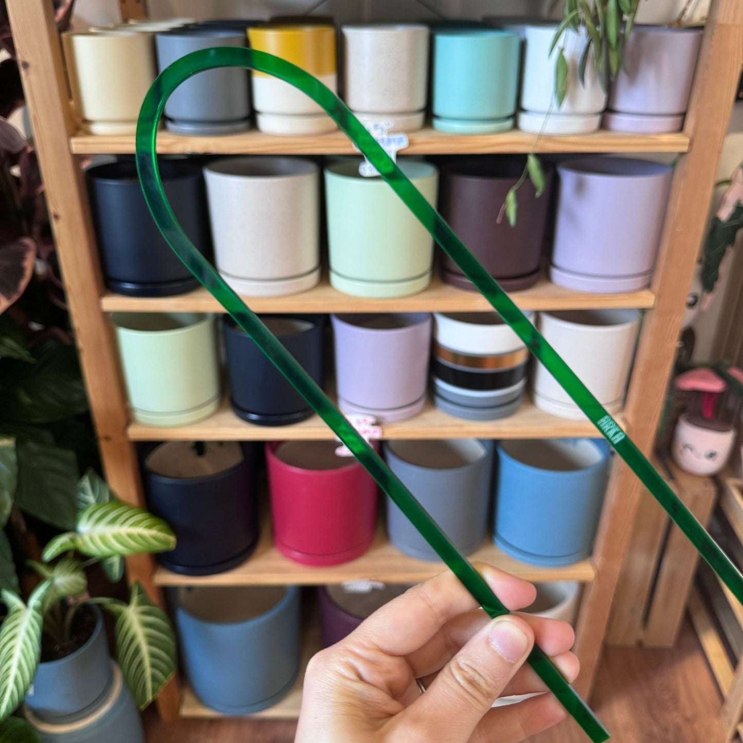 Arka™ Petite Trellis - The Plant Lady SF