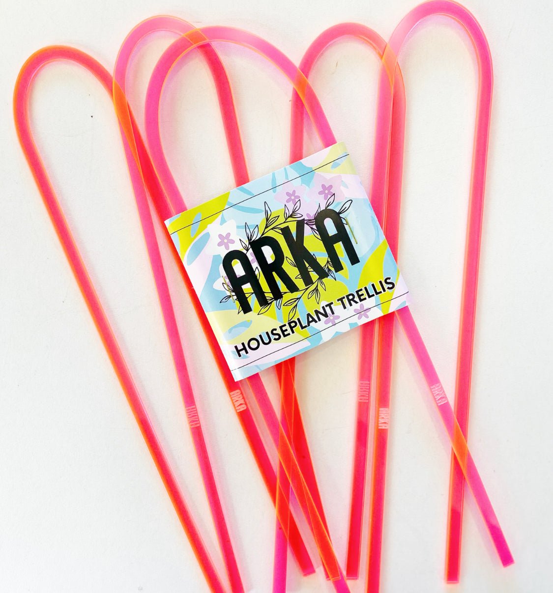 Arka™ Petite Trellis - The Plant Lady SF