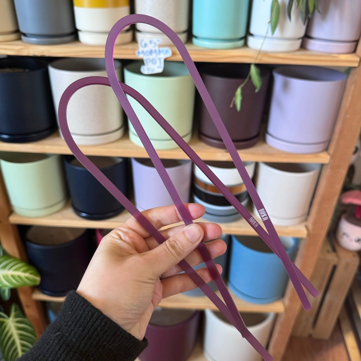 Arka™ Petite Trellis - The Plant Lady SF