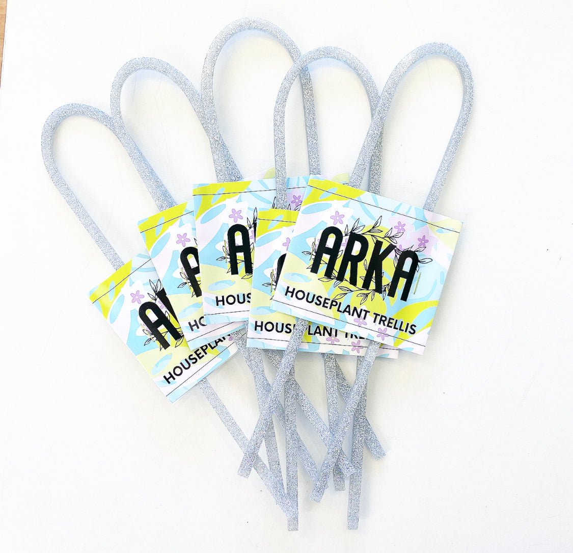 Arka™ Petite Trellis - The Plant Lady SF