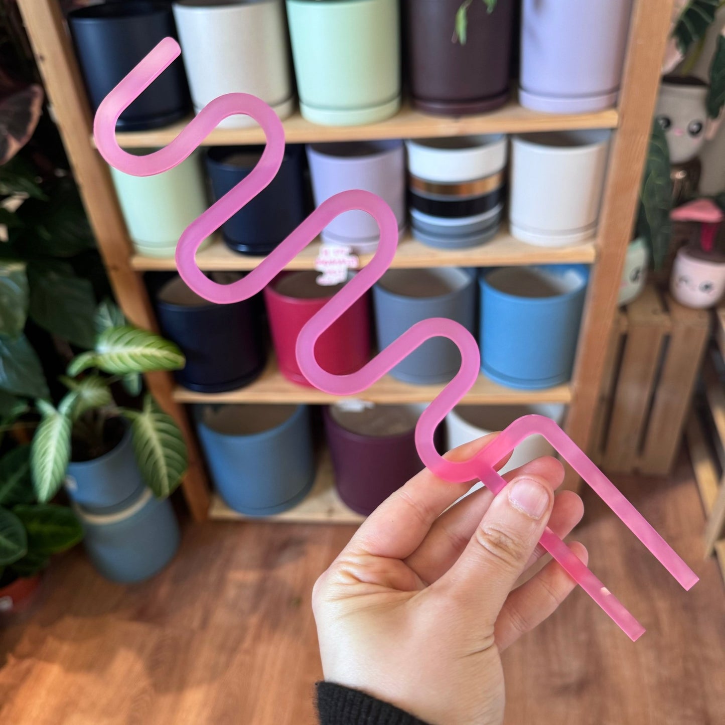 Arka Squiggle (Sway) Trellis - The Plant Lady SF