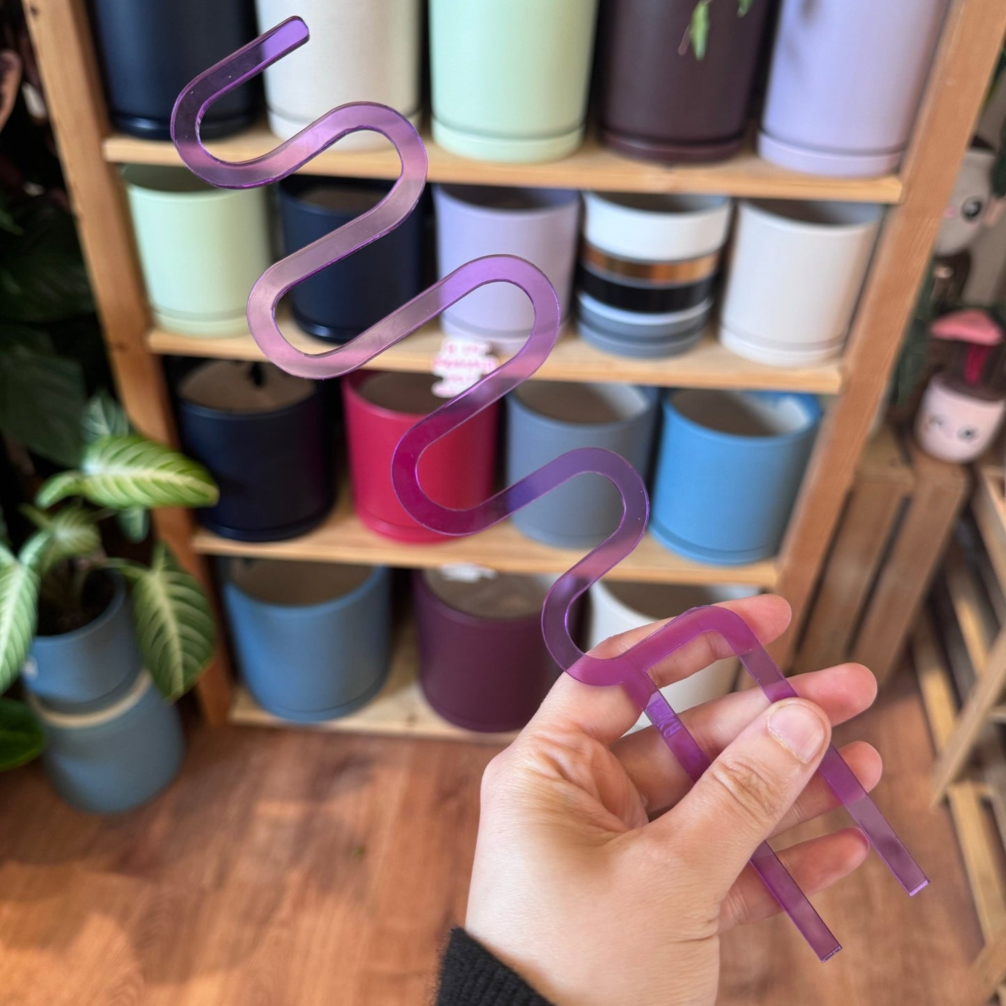 Arka Squiggle (Sway) Trellis - The Plant Lady SF