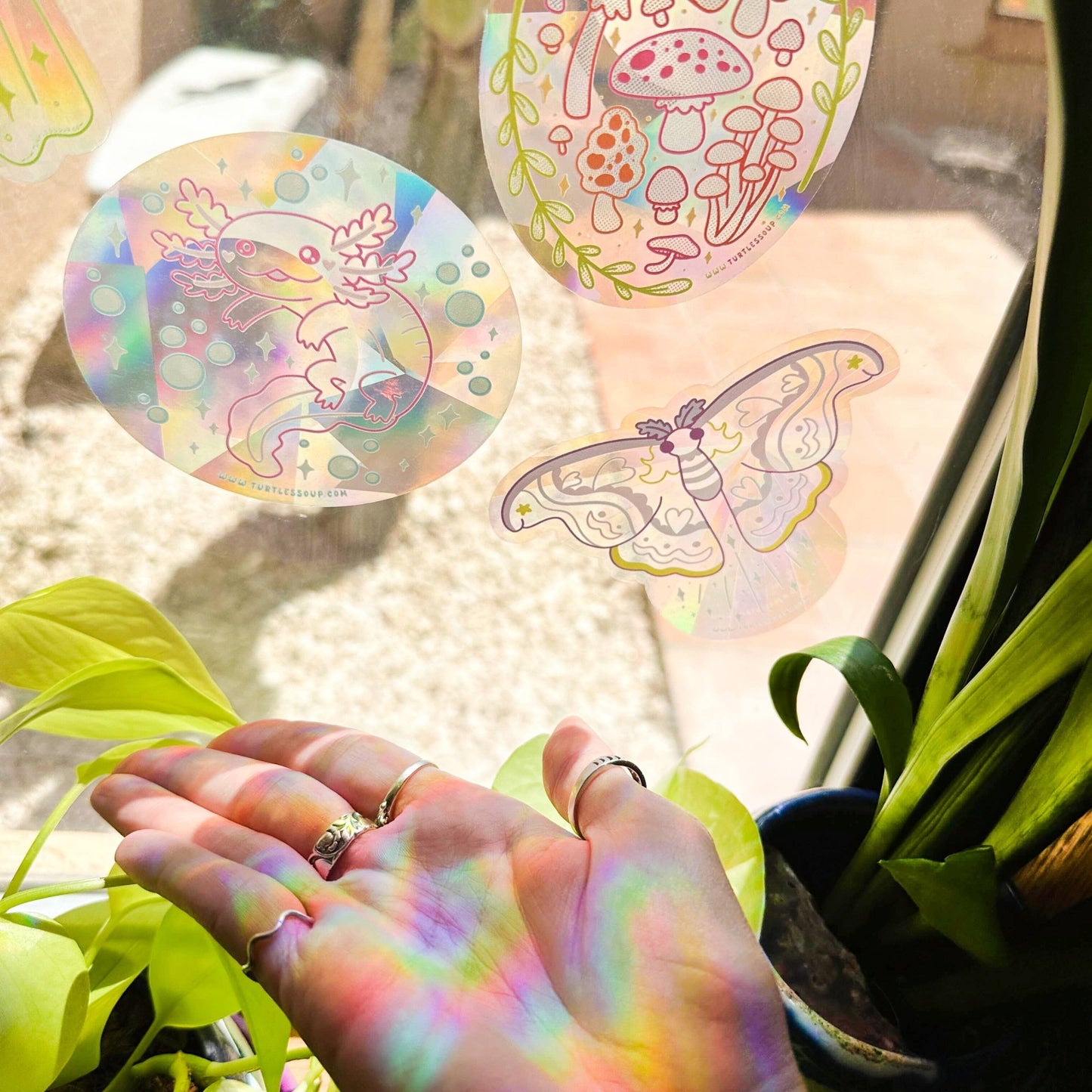 Axolotl Suncatcher - The Plant Lady SF