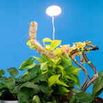 Load image into Gallery viewer, Adjustable LED Grow Light by Mossify
