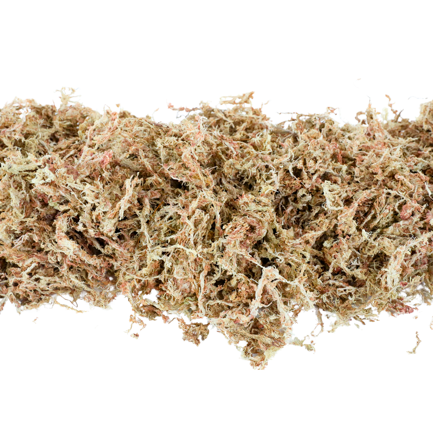 Premium Long Fiber Sphagnum Moss from Mossify - 150g