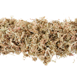 Premium Long Fiber Sphagnum Moss: 1kg