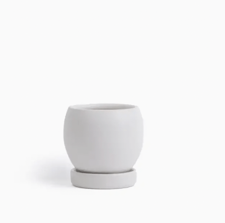 Bolle Momma Pots - 4.5" - The Plant Lady SF