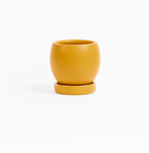 Bolle Momma Pots - 4.5" - The Plant Lady SF