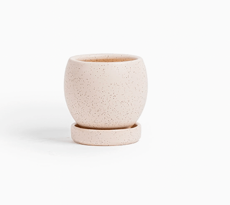 Bolle Momma Pots - 4.5" - The Plant Lady SF