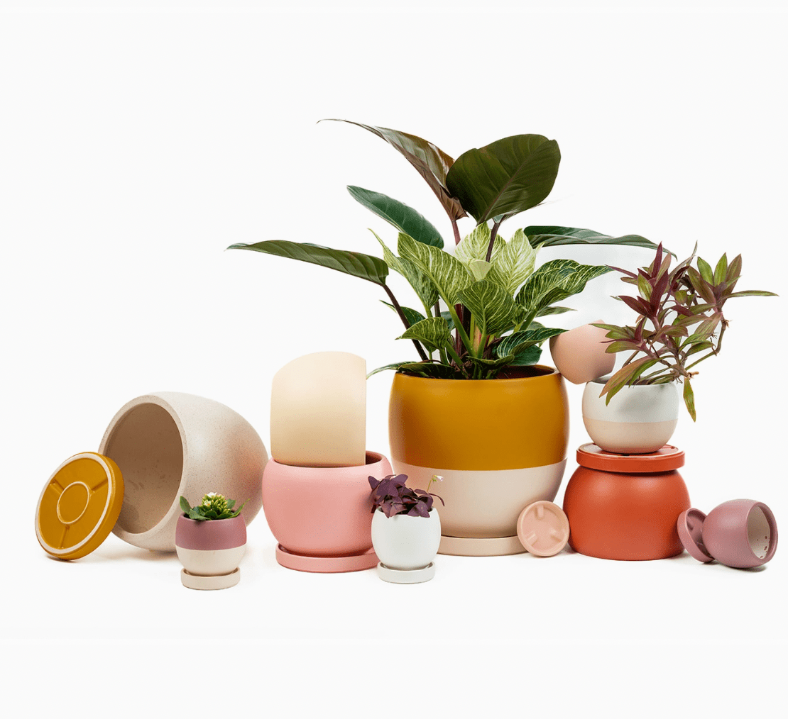 Bolle Momma Pots - 4.5" - The Plant Lady SF