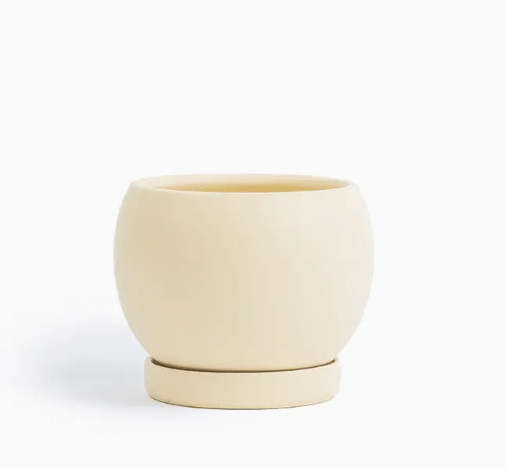 Bolle Momma Pots - 6.5" - The Plant Lady SF