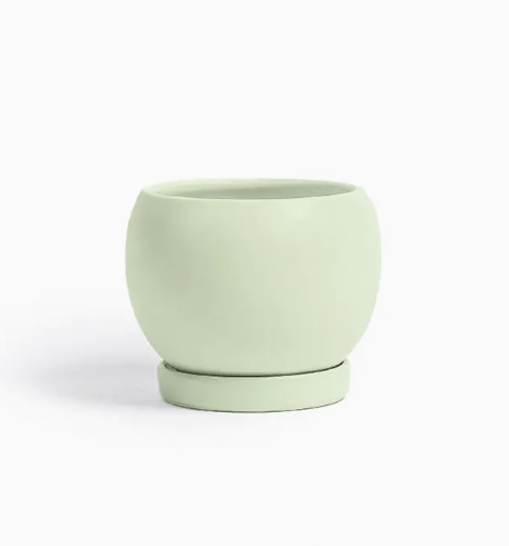 Bolle Momma Pots - 6.5" - The Plant Lady SF