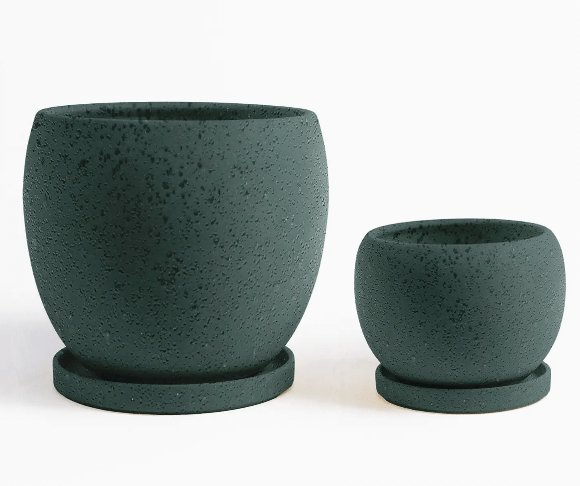 Bolle Momma Pots - 6.5" - The Plant Lady SF