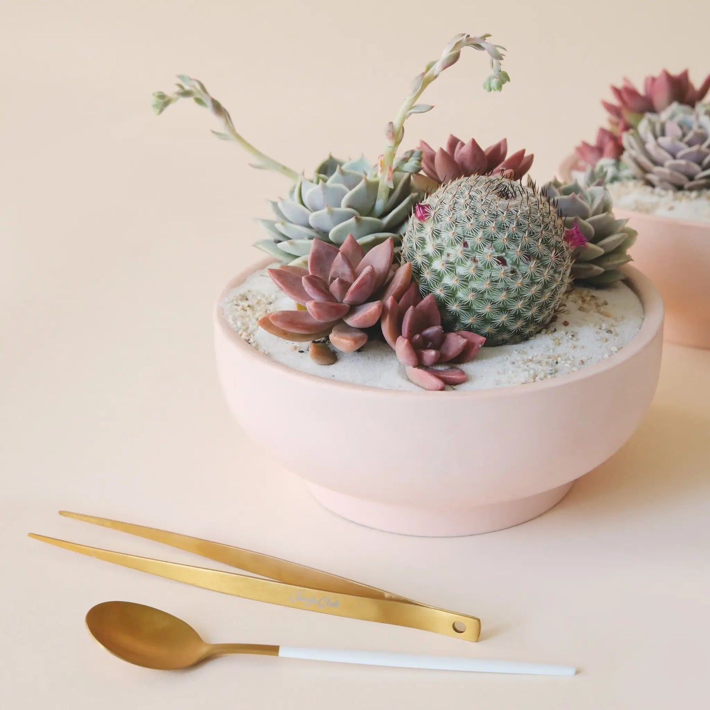 Brass Planting Tweezers - The Plant Lady SF