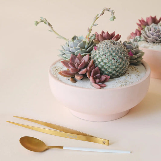 Brass Planting Tweezers - The Plant Lady SF