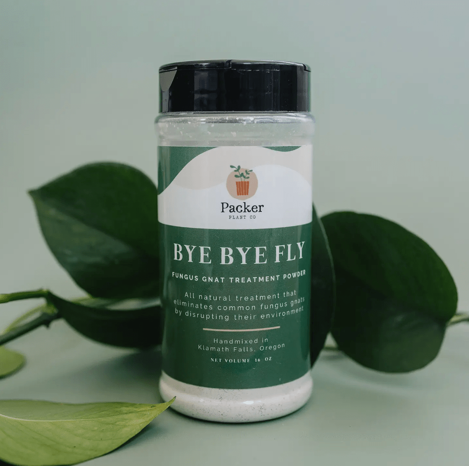 Bye Bye Fly | Fungus Gnat Treatment For Houseplants - The Plant Lady SF