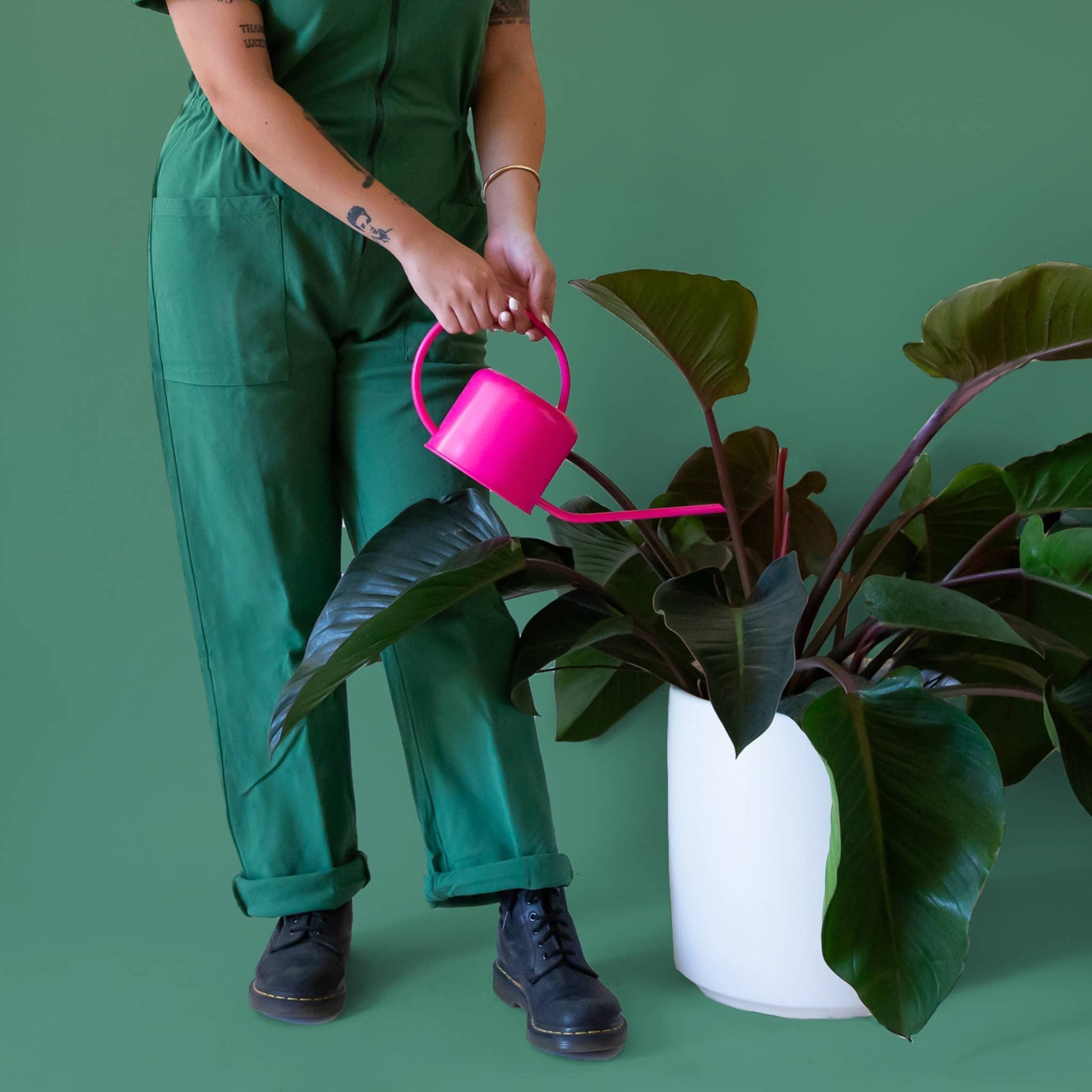 cascade self watering planter Cascade Metal Watering Can