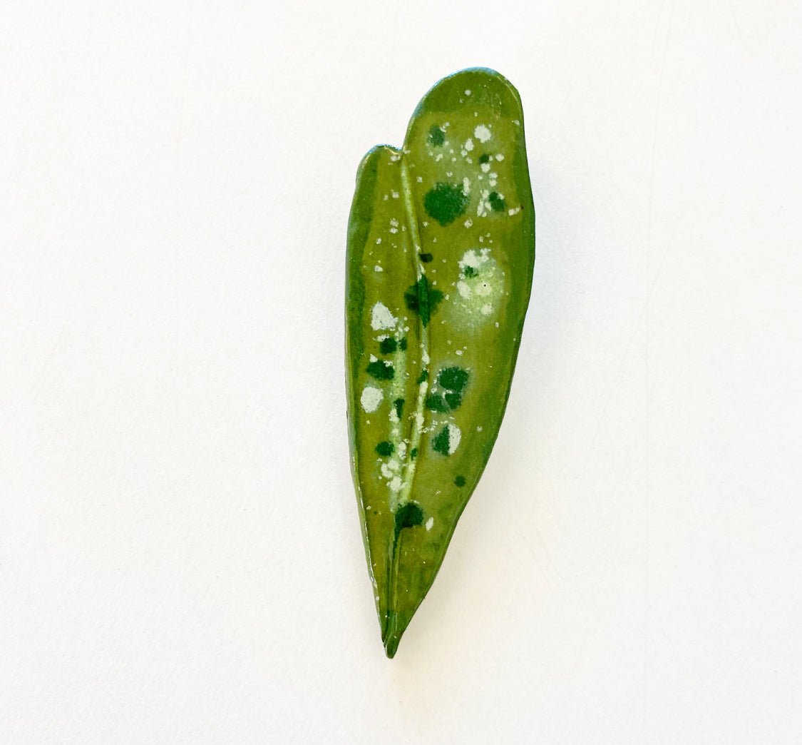 Ceramic Leaf Magnets - The Plant Lady SF