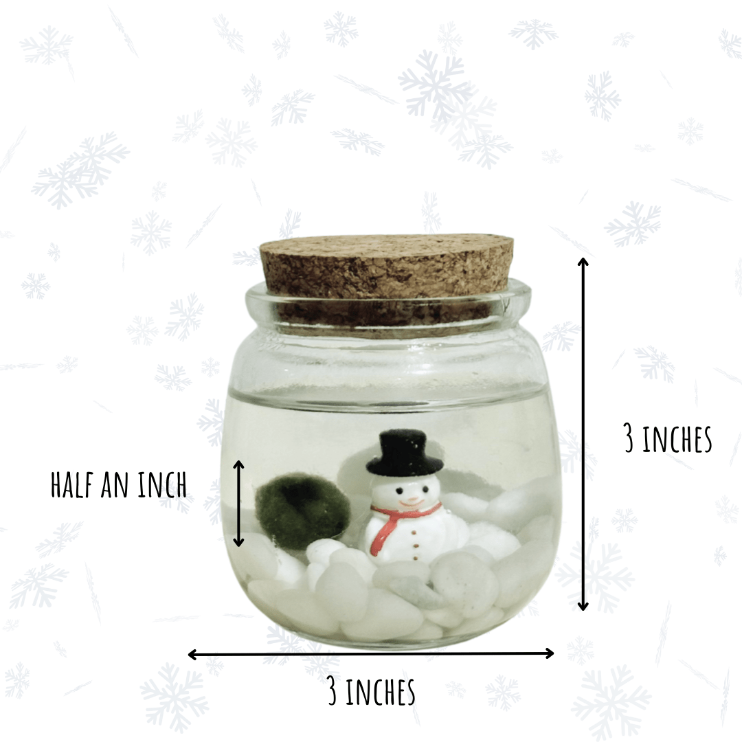 Christmas Holiday Moss Ball with Snowman - The Plant Lady SF