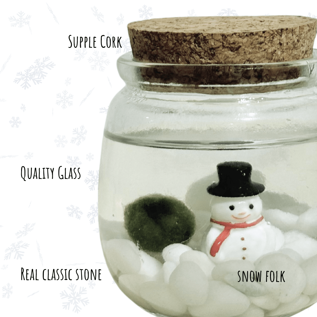 Christmas Holiday Moss Ball with Snowman - The Plant Lady SF