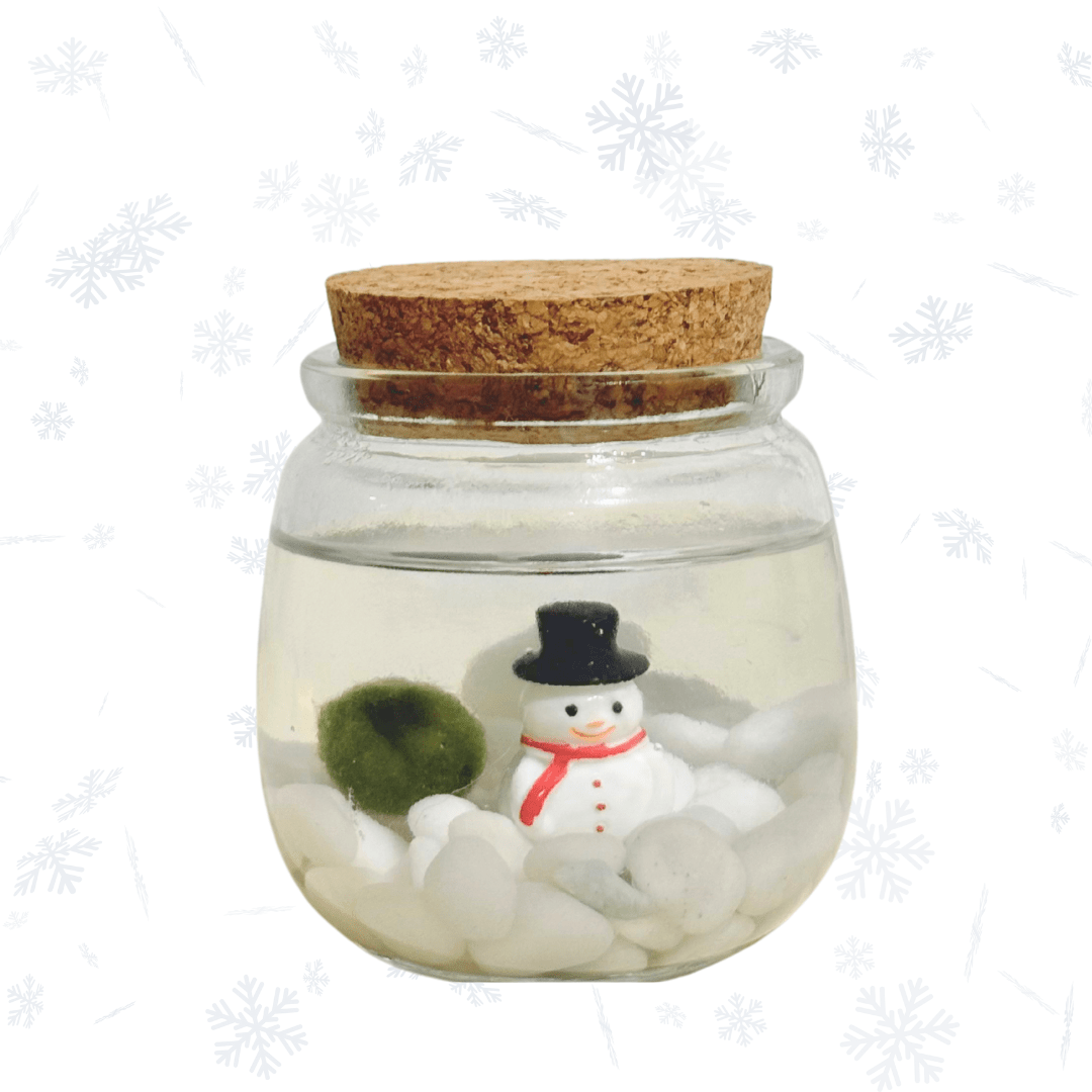 Christmas Holiday Moss Ball with Snowman - The Plant Lady SF